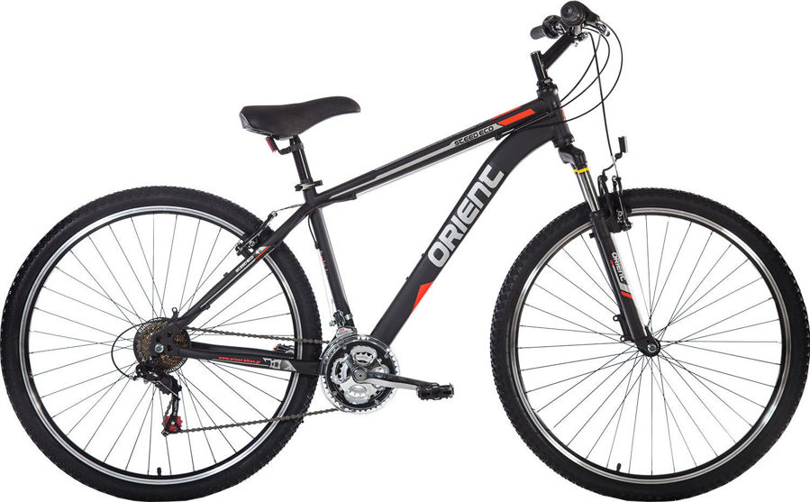 Εικόνα του ORIENT STEED ECO 29″