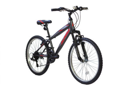 Εικόνα του ALPINA ALPHA 24″ MTB SHIMANO 21 ΤΑΧΥΤΗΤΕΣ