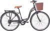 Εικόνα του ALPINA CITY 28″ SHIMANO, 7 ΤΑΧΥΤΗΤΕΣ